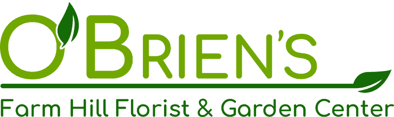 O'Brien's