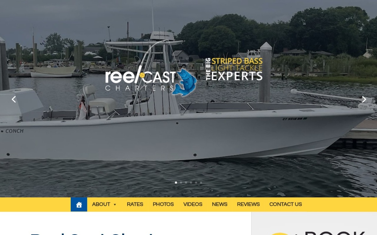 Reel Cast Charters website homepage